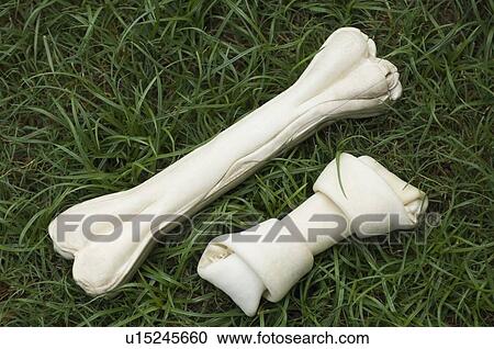 High angle view of dog bones on grass View Large Photo Image Stock Image - High angle view of dog bones on grass. Fotosearch