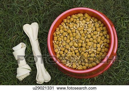 High angle view of dog food in a dog bowl with dog bones View Large Photo Image Stock Image - High angle view of dog food in a dog bowl with dog bones. Fotosearch