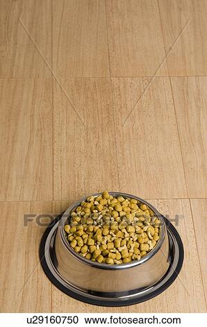 High angle view of dog food in a dog bowl View Large Photo Image Stock Image - High angle view of dog food in a dog bowl. Fotosearch
