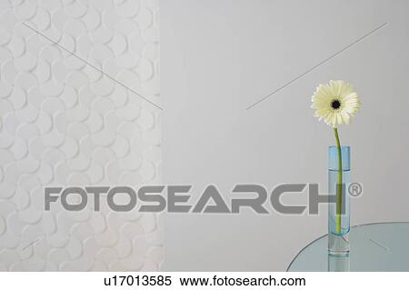 Close-up of a flower in a vase View Large Photo Image Stock Photography - Close-up of a flower in a vase. Fotosearch
