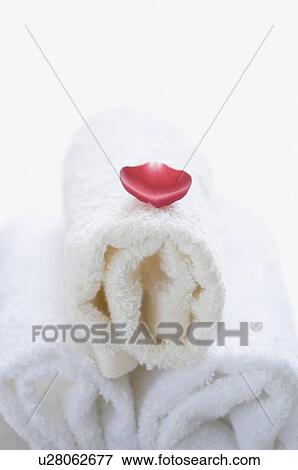 Stock Photo - Close-up of a rose petal on three towels. Fotosearch