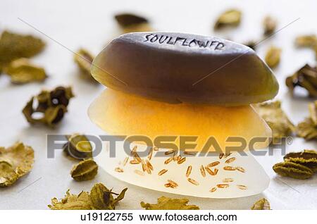 Close-up of a stack of soaps with herbs View Large Photo Image Stock Photography - Close-up of a stack of soaps with herbs. Fotosearch