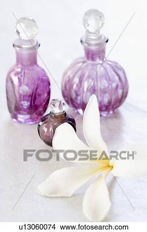 Close-up of a white flower with three oil bottles View Large Photo Image Picture - Close-up of a white flower with three oil bottles. Fotosearch