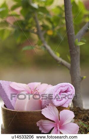 Stock Photograph - Close-up of spa treatment products near a tree. Fotosearch