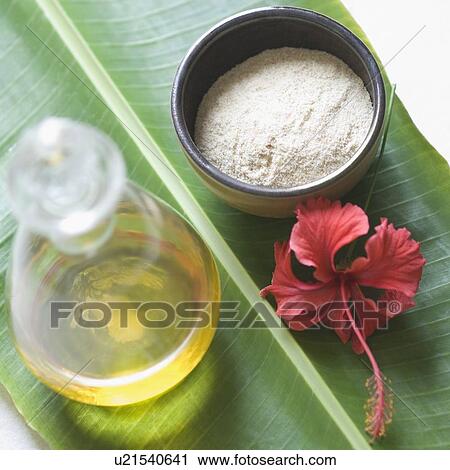 Close-up of spa treatment products on a banana leaf View Large Photo Image Stock Image - Close-up of spa treatment products on a banana leaf. Fotosearch