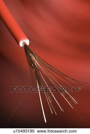 Close-up of a red power cable View Large Photo Image Stock Photography - Close-up of a red power cable. Fotosearch