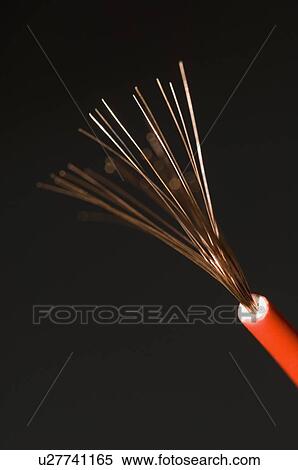 Close-up of a red power cable View Large Photo Image Stock Photography - Close-up of a red power cable. Fotosearch