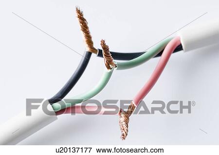 Close-up of twisted power cables View Large Photo Image Stock Photo - Close-up of twisted power cables. Fotosearch