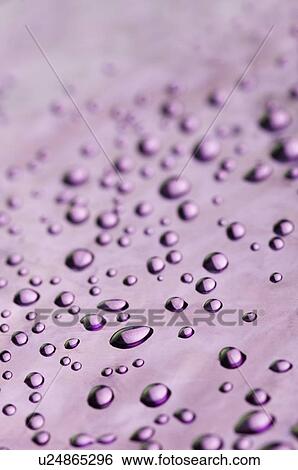 Stock Photograph - Close-up of water drops on a pink surface. Fotosearch