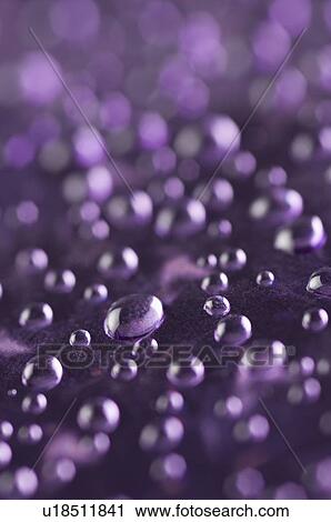 Close-up of water drops on a purple surface View Large Photo Image Stock Image - Close-up of water drops on a purple surface. Fotosearch