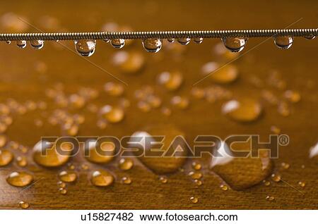 Close-up of water drops on a string View Large Photo Image Stock Image - Close-up of water drops on a string. Fotosearch