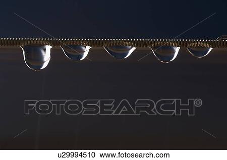 Close-up of water drops on a string View Large Photo Image Stock Image - Close-up of water drops on a string. Fotosearch