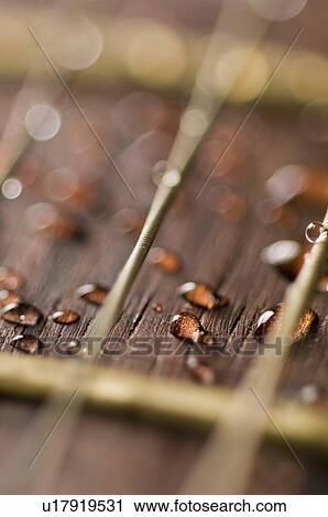 Close-up of water drops on a wooden surface View Large Photo Image Stock Image - Close-up of water drops on a wooden surface. Fotosearch