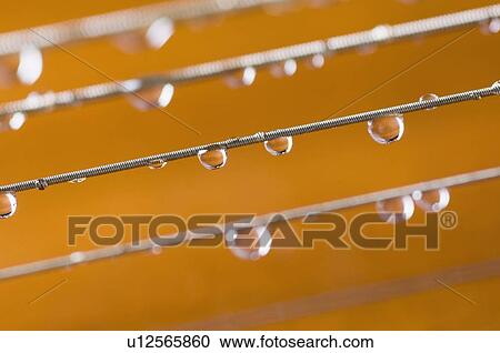 Stock Image - Close-up of water drops on strings. Fotosearch