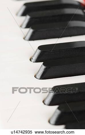Stock Photography - Close-up of a harmonium. Fotosearch