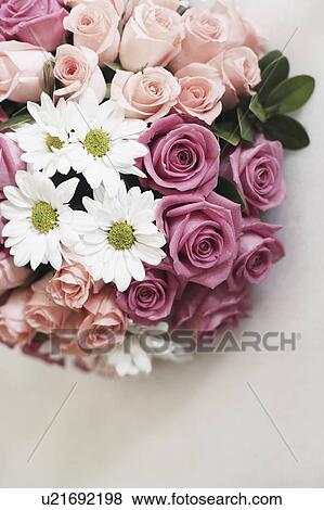 High angle view of a bunch of flowers View Large Photo Image Stock Photo - High angle view of a bunch of flowers. Fotosearch