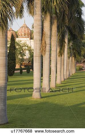 Lawn outside a monument, Safdarjung Tomb, New Delhi, India View Large Photo Image Stock Photo - Lawn outside a monument, Safdarjung Tomb, New Delhi, India. Fotosearch