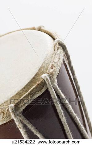 Close-up of a monkey drum View Large Photo Image Stock Image - Close-up of a monkey drum. Fotosearch