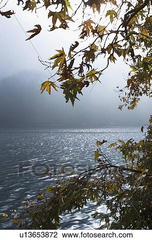 Fog over a lake View Large Photo Image Stock Image - Fog over a lake. Fotosearch