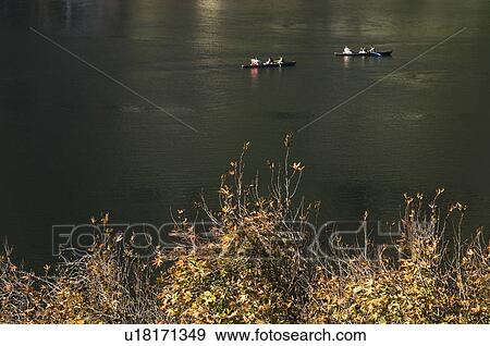 Group of people boating in a lake View Large Photo Image Stock Photo - Group of people boating in a lake. Fotosearch