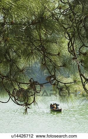 Stock Image - High angle view of a group of people rowing in a lake. Fotosearch