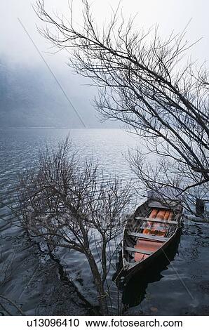 High angle view of a rowboat moored with a tree in a lake View Large Photo Image Stock Image - High angle view of a rowboat moored with a tree in a lake. Fotosearch