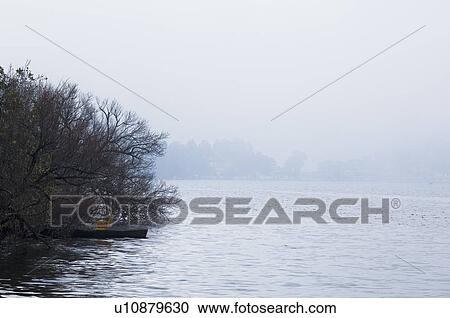 Stock Image - Trees overlooking a lake. Fotosearch