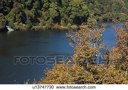 Stock Image - Trees overlooking a lake. Fotosearch