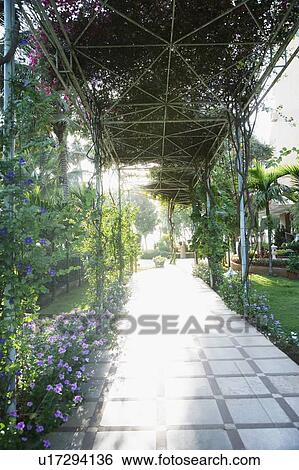 Walkway in a park View Large Photo Image Stock Photograph - Walkway in a park. Fotosearch