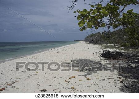 Beach scene at Maria La Gorda, Cuba, Caribbean View Large Photo Image Stock Photo - Beach scene at Maria La Gorda, Cuba, Caribbean. Fotosearch