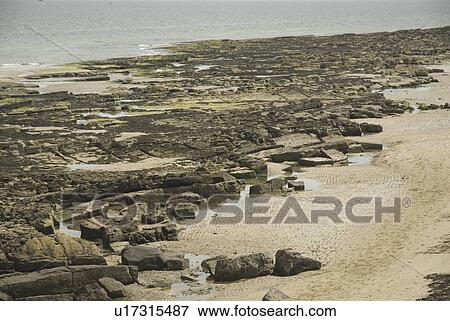 Stock Photo - Rocky shoreline on North Northumberland Coast, England, UK North Sea. Fotosearch