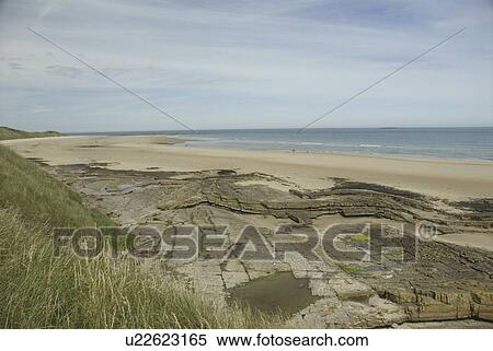Stock Photography - Sand Dunes and rocky shoreline on North Northumberland Coast, England, UK North Sea. Fotosearch