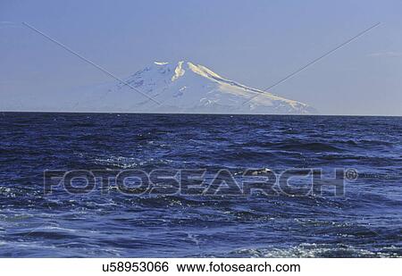 Summit of Mt Beerenberg, 2277m, seen from a long distance and the sea, Jan Mayen, North Atlantic Island, Norway View Large Photo Image Stock Photograph - Summit of Mt Beerenberg, 2277m, seen from a long distance and the sea, Jan Mayen, North Atlantic Island, Norway. Fotosearch