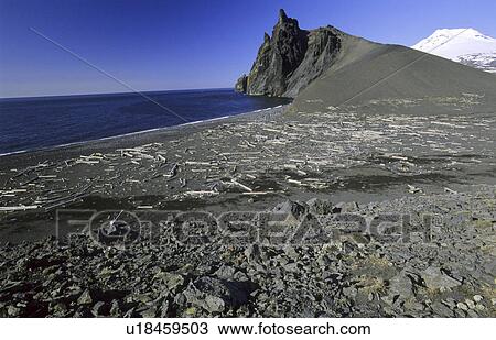 View from Maria Muschbukta towards Northeast and Mt Beerenberg, 2277m. Jan Mayen, North Atlantic Island, Norway. View Large Photo Image Stock Image - View from Maria Muschbukta towards Northeast and Mt Beerenberg, 2277m. Jan Mayen, North Atlantic Island, Norway.. Fotosearch