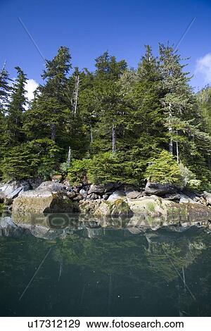 Stock Photo - View of the calm waters of the shoreline in sunlight at Takatz Bay on Baranof Island, Southeast Alaska, USA. Pacific Ocean.. Fotosearch