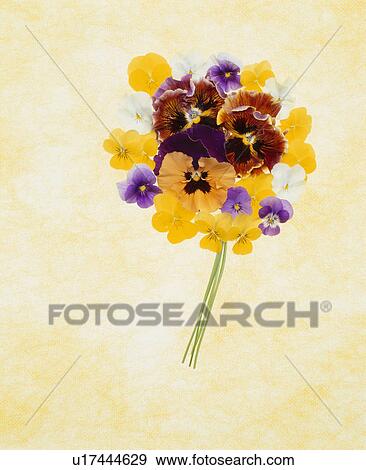 Stock Photo - Bunch Of Flowers. Fotosearch