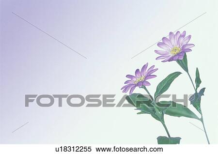 Stock Photography - Flower. Fotosearch