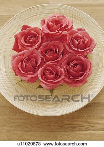 Red Roses on Plate View Large Photo Image Stock Photo - Red Roses on Plate. Fotosearch