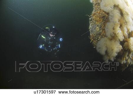Stock Photo - Diver approaches German Battleship, Scapa Flow, Orkney islands, Scotland, UK. Fotosearch