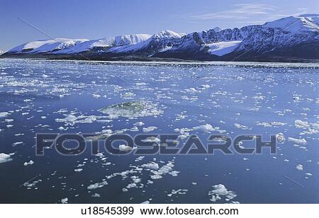 Stock Photo - Liefdefjorden filled with glacier ice fragments. Northern Spitsbergen . Fotosearch