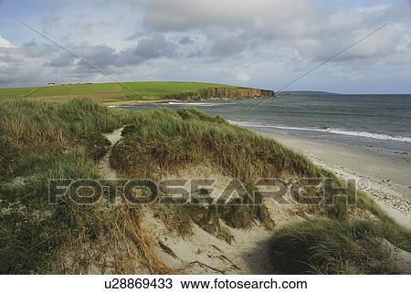 Stock Image - Sand Dunes on North Northumberland Coast, England, UK North Sea. Fotosearch