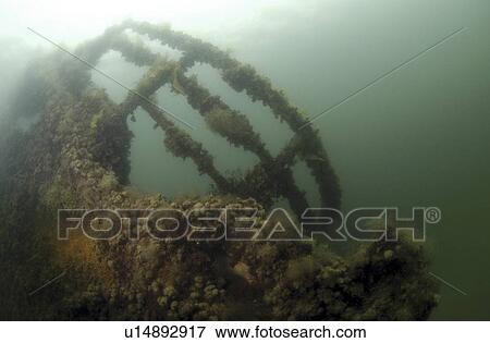 British Blockship Ilsenstein bows, Scapa Flow, Orkney Islands, Scotland, UK View Large Photo Image Stock Photo - British Blockship Ilsenstein bows, Scapa Flow, Orkney Islands, Scotland, UK. Fotosearch