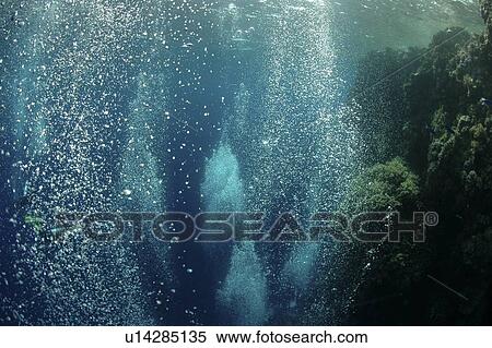 Stock Photography - Little Brother dive site. Red Sea, Egypt.. Fotosearch