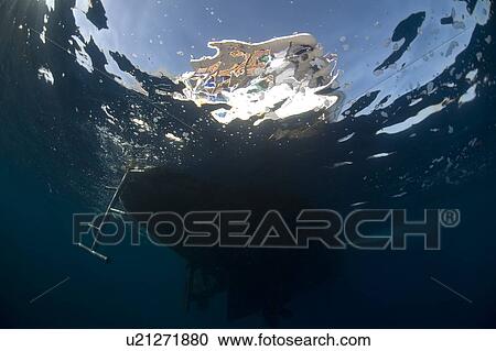 Stock Image - Under water view of a boat. Red Sea, Egypt.. Fotosearch