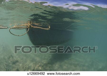 View of the underside of a canoe. Tunduba Bay. View Large Photo Image Stock Image - View of the underside of a canoe. Tunduba Bay.. Fotosearch
