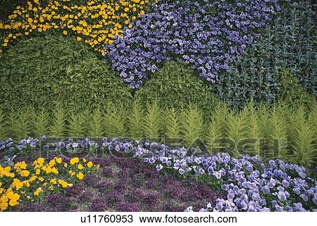 Stock Image - Flower Bed. Fotosearch