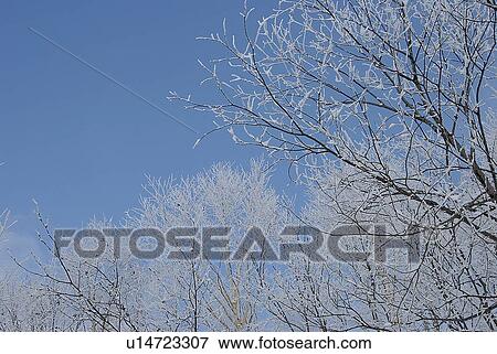 Stock Photo - Snowscape. Fotosearch