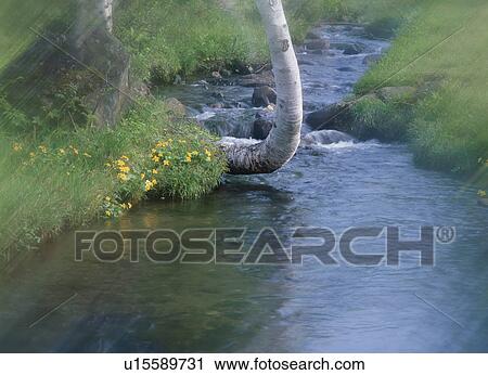 River View Large Photo Image Stock Image - River. Fotosearch