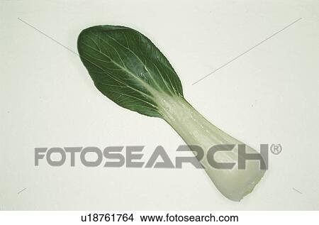 Picture - Bok Choy. Fotosearch