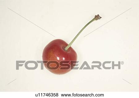 Stock Photo - Cherry. Fotosearch